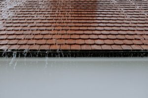 signs of water damage on roof